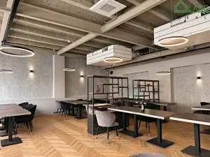 Pronájem restaurace, Brno, Dominikánské náměstí, 487 m2