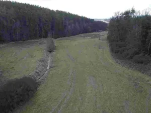 Prodej pole, Horšovský Týn - Oplotec, 385 m2
