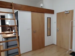 Prodej bytu 1+kk, Praha - Nové Město, Sokolská, 23 m2