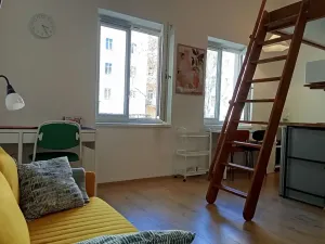Prodej bytu 1+kk, Praha - Nové Město, Sokolská, 23 m2