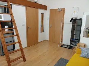 Prodej bytu 1+kk, Praha - Nové Město, Sokolská, 23 m2