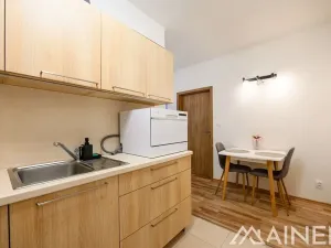 Pronájem bytu 2+kk, Plzeň, Koterovská, 49 m2
