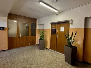 Prodej bytu 1+1, Ostrava - Zábřeh, Čujkovova, 28 m2
