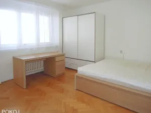 Pronájem bytu 1+1, Brno, Polní, 30 m2