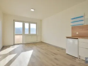 Pronájem bytu 1+kk, Ústí nad Labem, Baráčnická, 30 m2