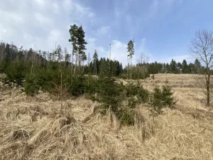 Prodej louky, Městečko Trnávka - Lázy, 1410 m2