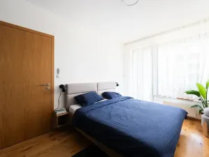 Prodej bytu 2+kk, Praha - Nusle, Muzikova, 47 m2