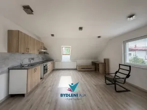 Pronájem bytu 1+kk, Dubí, Lidická, 86 m2