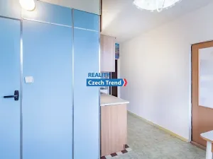 Pronájem bytu 1+1, Olomouc, Foerstrova, 43 m2