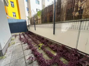 Pronájem bytu 1+kk, Praha - Smíchov, Pod Barvířkou, 48 m2
