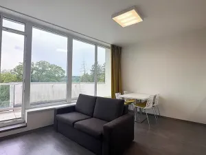 Pronájem bytu 2+kk, Brno, Vinařská, 55 m2