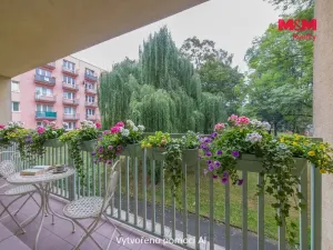 Prodej bytu 2+kk, Havířov - Podlesí, 17. listopadu, 40 m2