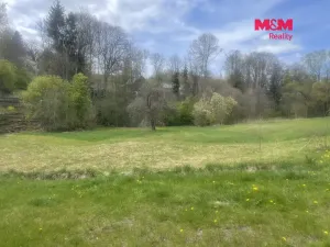 Prodej louky, Zlatá Olešnice, 3984 m2
