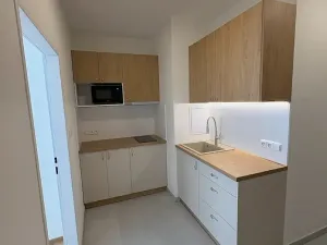 Pronájem bytu 1+kk, Praha - Vinohrady, Bruselská, 33 m2