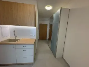 Pronájem bytu 1+kk, Praha - Vinohrady, Bruselská, 33 m2