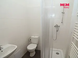 Pronájem bytu 1+kk, Ostrava - Přívoz, Chopinova, 31 m2