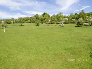 Prodej pozemku, Velká Bukovina, 3186 m2