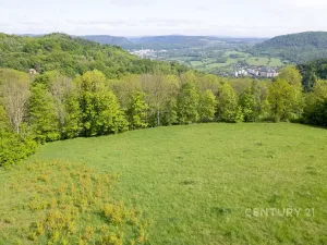 Prodej louky, Děčín, 27274 m2