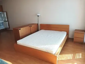 Pronájem bytu 1+kk, Praha - Krč, Panuškova, 44 m2