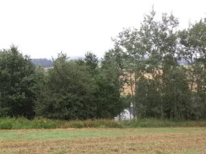 Prodej pozemku, Radkov, 1834 m2