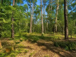Prodej pozemku pro bydlení, Hradištko, Kersko, 4428 m2