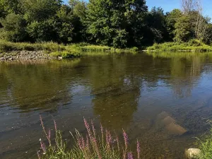 Prodej chaty, Kladruby, 43 m2