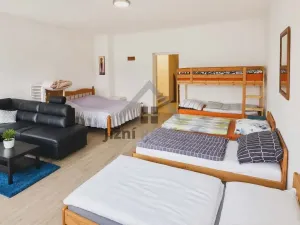 Prodej rodinného domu, Stráž nad Nežárkou, Chlumecká, 900 m2