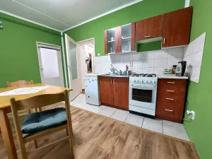 Pronájem bytu 1+1, Brno, Vápenka, 45 m2