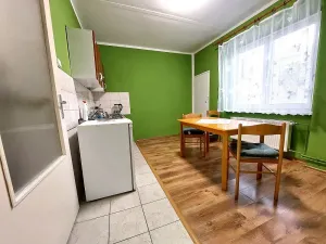 Pronájem bytu 1+1, Brno, Vápenka, 45 m2
