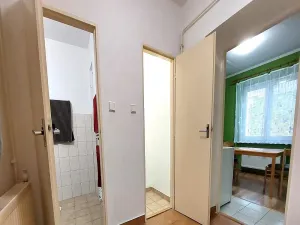 Pronájem bytu 1+1, Brno, Vápenka, 45 m2