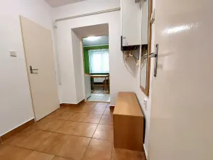 Pronájem bytu 1+1, Brno, Vápenka, 45 m2
