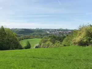 Prodej podílu louky, Praha - Nebušice, U Gabrielky, 24023 m2