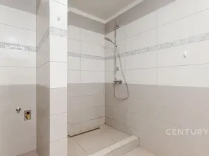 Prodej rodinného domu, Ivaň, 319 m2