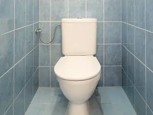 Prodej bytu 3+1, České Budějovice, V. Volfa, 73 m2