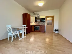 Pronájem bytu 1+kk, Brno, Božetěchova, 32 m2