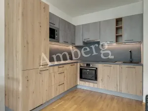 Pronájem bytu 1+kk, Praha - Karlín, Breitfeldova, 38 m2