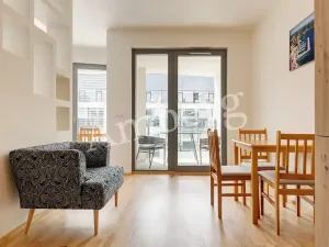 Pronájem bytu 1+kk, Praha - Karlín, Breitfeldova, 38 m2