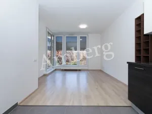 Prodej bytu 2+kk, Praha - Žižkov, Na Vackově, 53 m2