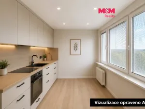 Pronájem bytu 1+1, Tachov, Stadtrodská, 40 m2