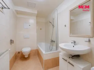 Pronájem bytu 2+kk, Plzeň - Jižní Předměstí, Karlova, 45 m2