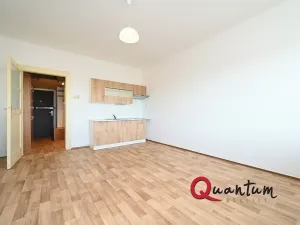 Pronájem bytu 1+kk, Praha - Vinohrady, Fričova, 32 m2