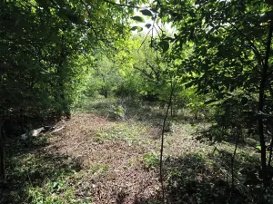 Prodej pozemku pro bydlení, Psáry, 1000 m2