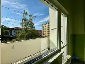 Pronájem bytu 2+1, Cheb, Americká, 53 m2