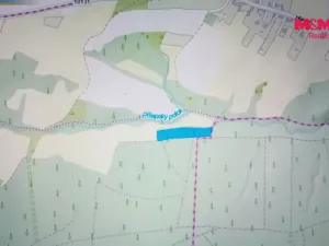 Prodej lesa, Chyňava - Lhotka u Berouna, 7138 m2