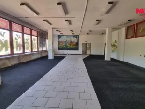 Pronájem obchodního prostoru, Orlová - Lutyně, F. S. Tůmy, 270 m2