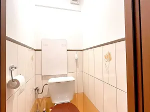 Pronájem bytu 2+1, Brno, Novoměstská, 60 m2