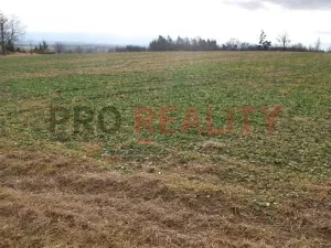 Prodej pozemku pro bydlení, Velké Albrechtice, 1041 m2