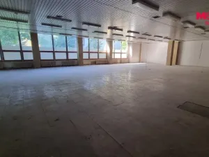 Pronájem obchodního prostoru, Orlová - Lutyně, F. S. Tůmy, 739 m2
