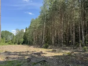 Prodej podílu lesa, Zádolí, 12979 m2