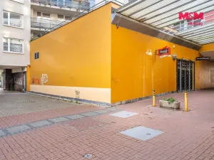 Pronájem obchodního prostoru, Praha, Trnkovo náměstí, 324 m2